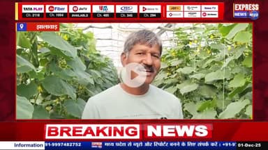 जूनाखेड़ा का खीरा ककड़ी जयपुर में बना रहा पहचान