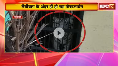 Maitri Bagh Bhilai : मैत्रीबाग में शेरनी की मौत। मौत की वजह अज्ञात, जांच जारी