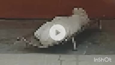 हरदोई: कराही गांव के पास कार की टक्कर से युवक की मौत, 10 मीटर तक घिसटता चला गया, पुलिस ने शव का कराया पोस्टमार्टम