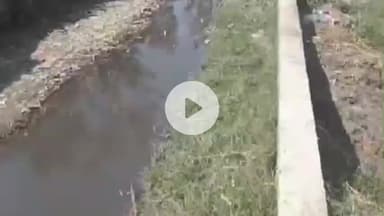 रामपुर: ग्राम बजावाला में जल भराव की समस्या से लोग बेहाल, ग्रामीणों ने डीएम से लगाई गुहार
#jansamasya