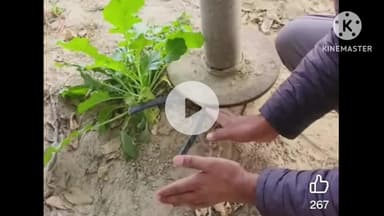 पानीपत: भाकियू प्रदेश प्रवक्ता के खेत से तार चोरी, मोटर चलाने पर हुआ खुलासा