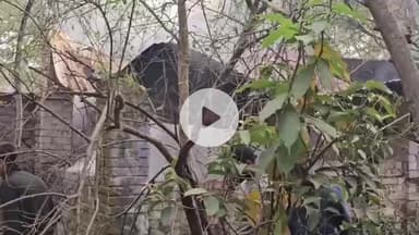 लोहरदगा: चेकनाका के पास पुराने टायरों के गोदाम में लगी आग, दमकल की तत्परता से टला बड़ा हादसा