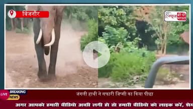 जंगली हाथी ने पर्यटक की जिप्सी के पीछे लगा दी दौड़, डर से चीखी महिला, ड्राइवर ने भगाई कार, वीडियो वायरल