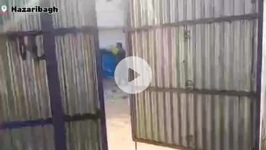 हज़ारीबाग: खाद्य सुरक्षा विभाग की बड़ी कार्रवाई, 1.3 क्विंटल नकली पनीर और 40 लीटर मक्खन जब्त, परिसर सील