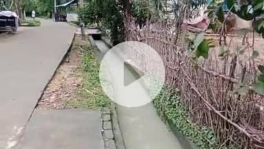 ஸ்ரீமுஷ்ணம்: பாளையங்கோட்டையில் வடிகால் வாய்க்காலில் அடித்துச் செல்லப்பட்ட ஒன்றரை வயது குழந்தை இறந்தது