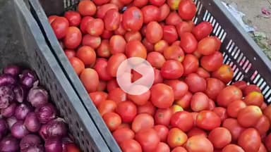 सोलन: सोलन सब्जी मंडी में लहसुन के दामों में बढ़ोतरी, किसानों को मिली राहत