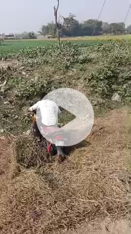 Bihar mein क्या-क्या ho raha hai ,♥️❤️🥀