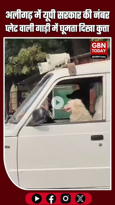 अलीगढ़ डीएम कार्यालय में यूपी सरकार की नंबर प्लेट वाली गाड़ी में कुत्ता घूमता दिखा #Aligarh #BreakingNews #UPNews #Viral