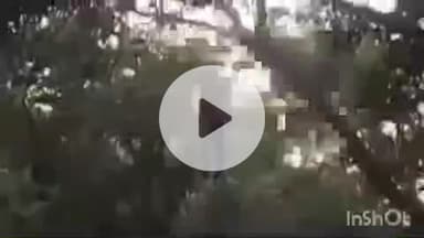 नानपारा: प्रहलादा में अज्ञात युवक का शव आम के बाग में पेड़ से लटका मिला, पुलिस ने शिनाख्त जारी की