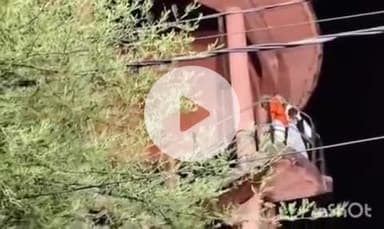 बारां: न्याय की गुहार लगाते हुए 11 घंटे बाद टंकी से नीचे उतरा परिवार, ज़मीन से कब्जा हटाने की मांग को लेकर कोटा रोड पर चढ़े थे