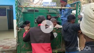 जमुई: सोनाएं गांव के पास तेज रफ्तार विकटा गाड़ी पेड़ से टकराई, एक बच्चे की हुई मौत और 10 घायल