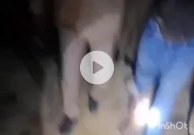 हरदोई: पिहानी पुलिस ने मुठभेड़ में मारपीट के आरोपी 2 अभियुक्तों को अवैध शस्त्र व मोटरसाइकिल सहित किया गिरफ्तार