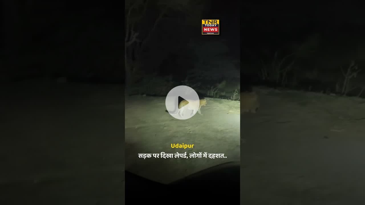 #rajasthannews #news #khabartamariindia #indiancitynews #tnr #latestnews