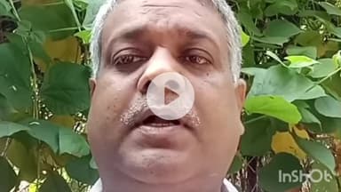 नगर नौसा: नगरनौसा प्रखंड में ₹10000 से अधिक बिजली बिल वाले उपभोक्ताओं का कनेक्शन कटेगा: इंदूभूषण प्रसाद