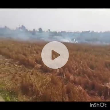 कतरीसराय: कतरीसराय में हार्वेस्टर से धान कटाई तेज़ी से बढ़ी, पराली जलाने से प्रदूषण की समस्या भी बढ़ी