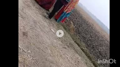 मधेपुरा: खारा पंचायत सरकार भवन के बगल में खुलेआम देसी शराब की बिक्री, वीडियो वायरल