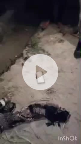 जसराना: गांव सिकंदरपुर कोटला में कलयुगी बेटे ने मां के सिर में फावड़ा मारकर की हत्या, आरोपी फरार