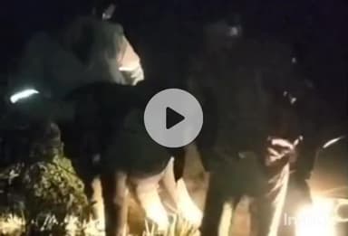 हरदोई: टडियावां पुलिस ने मुठभेड़ के बाद दो बदमाशों को किया गिरफ्तार, पकड़े गए बदमाश भैंस चोर गिरोह के सदस्य हैं