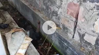 लाडपुरा: कोटा के विज्ञान नगर थाना क्षेत्र में मिला एक अज्ञात युवक का शव, मोर्चरी में रखवाया गया, पुलिस जुटी जांच में