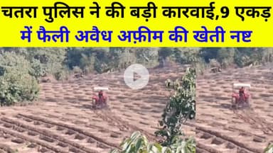 चतरा पुलिस ने की बड़ी कार्रवाई,9 एकड़ में फैली अवैध अफ़ीम की खेती  को किया बर्बाद
