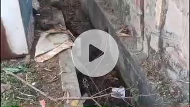 लाडपुरा: विज्ञान नगर थाना क्षेत्र में मिला एक अज्ञात व्यक्ति का शव, पुलिस मौके पर पहुंची और जांच में जुटी