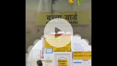 झांसी: झांसी जिला अस्पताल में सुरक्षा व्यवस्था की खुली पोल, बेड पर सोते कुत्ते का वीडियो सोशल मीडिया पर वायरल हुआ