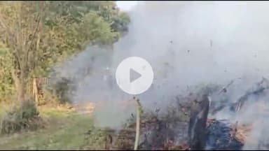 बंगाणा: संघनेई में पशुचारे में लगी आग, दमकल कर्मियों ने आग पर पाया काबू