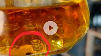 जगन्नाथपुर: सरकारी शराब दुकान से खरीदी सीलबंद बोतल में निकला मरा कीड़ा