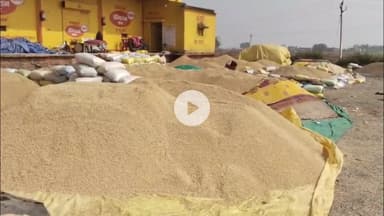 पन्ना: पन्ना में राशन दुकान आवंटन का सुनहरा मौका: ऑनलाइन आवेदन शुरू, जनसंपर्क अधिकारी ने दी जानकारी