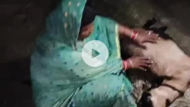 खड्डा: कुशीनगर के मदनपुर सुकरौली गाँव में तेंदुए ने किया हमला, चरवाही कर रही महिलाओं की आंखों के सामने बकरी का किया शिकार