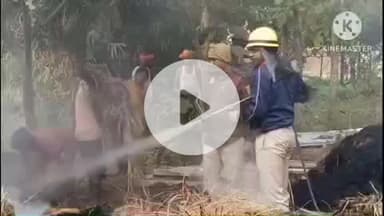 नूरसराय: बालचंद बीघा गांव में भीषण आग से तीन बीघा खेत का धान जलकर खाक, किसान पर आर्थिक संकट