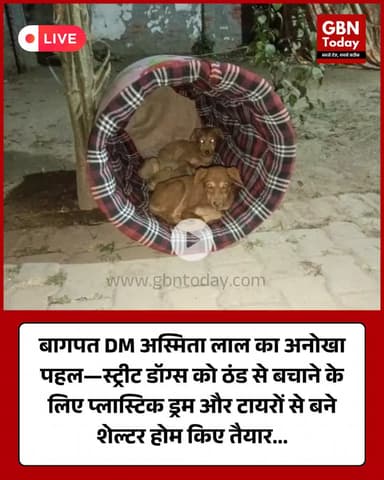बागपत DM अस्मिता लाल का अनोखा पहल #Baghpat #UttarPradesh #AsmitLalIAS #StreetDogs #AnimalCare #WinterShelter #Humanity