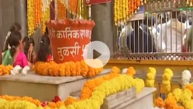 अक्कलकोट: दत्त जयंती निमित्त अक्कलकोटमध्ये श्री स्वामी समर्थ दर्शनासाठी भाविकांची गर्दी