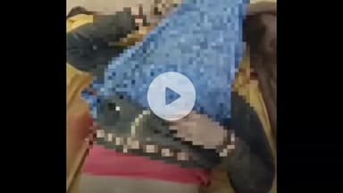 ग्वालियर गिर्द: मुरम का अवैध खनन कर रहा डंपर पलटने से चालक की मौत