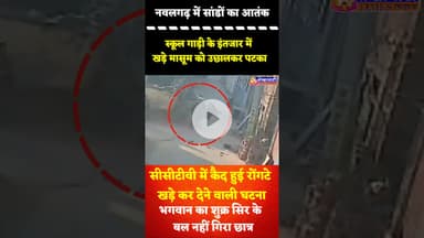 #नवलगढ़ में सांडों का आतंक, स्कूल गाड़ी के इंतजार में खड़े मासूम को उछालकर पटका, सीसीटीवी में कैद