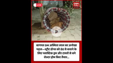 बागपत DM अस्मिता लाल का अनोखा पहल #Baghpat #UttarPradesh #AsmitLalIAS #StreetDogs #AnimalCare