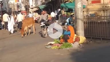 बीना: महावीर चौक के पास ब्रिज के नीचे सब्जी दुकानदारों को शिफ्ट करने की तैयारी, नगर पालिका अधिकारी ने किया निरीक्षण
