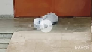 हरदोई: भदेउना गांव में घर के बाहर सफाई कर रही महिला पर बैल ने किया हमला, इलाज के दौरान रास्ते में हुई मौत