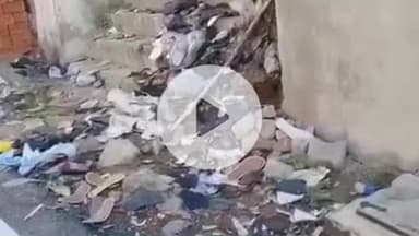 कानपुर: जाजमऊ में टेनरी संचालकों द्वारा कच्चे चमड़े को खुलेआम फेंके जाने से क्षेत्र में भीषण बदबू और प्रदूषण फैल रहा है