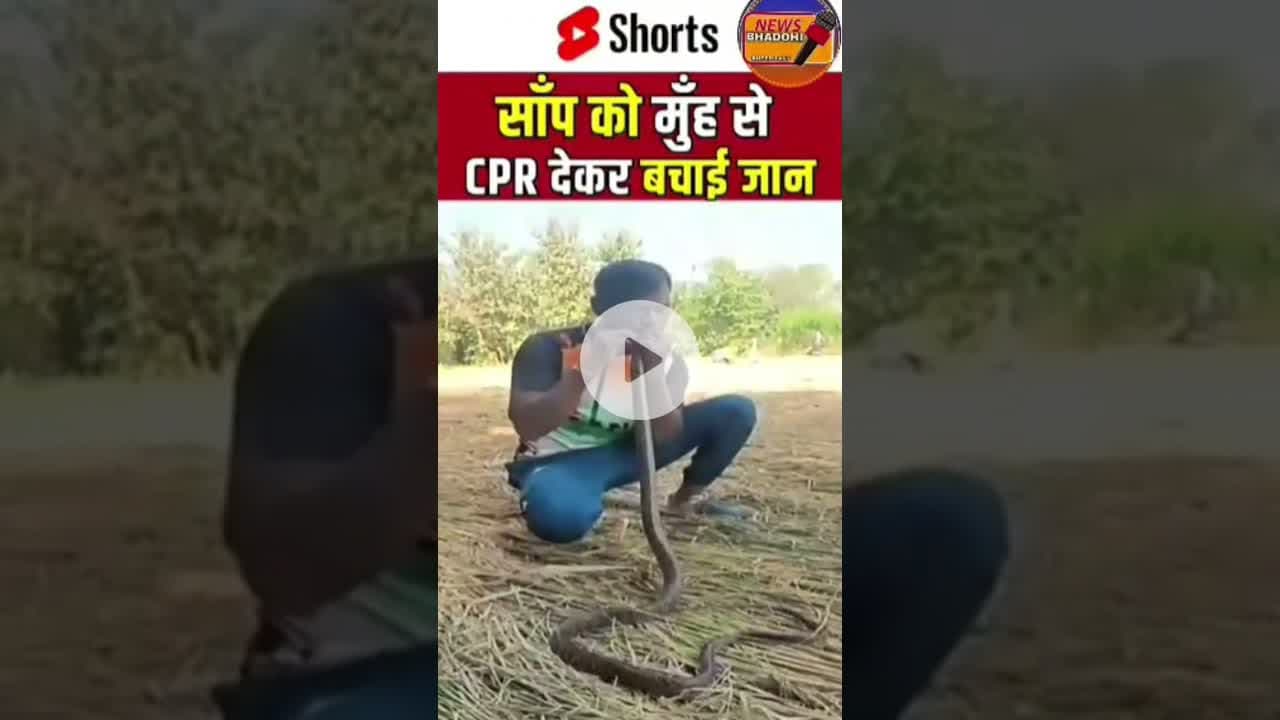 गुजरात के वलसाड इलाके में एक युवा ने सांप को दिया सीपीआर #वायरसवीडियो #गुजरात #वलसाड  #स्नेक