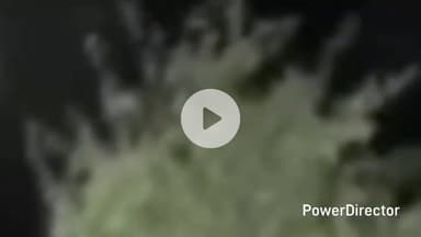 बेतालघाट: पटोड़ी गांव में तेंदुए के एक ग्रामीण पर हमले के बाद वन विभाग ने स्थानीय लोगों से सतर्क रहने की अपील की