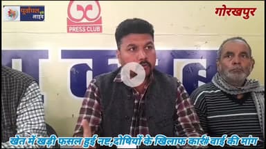 खेत में खड़ी फसल हुई नष्ट,दोषियों के खिलाफ कार्र#वाई की मांग