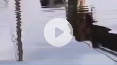 चूरू: चूरू में मेगा हाईवे पर दिल दहला देने वाला हादसा: शादी की खरीदारी के लिए जा रहे भाई-बहन गंदे पानी में डूबी कार से बाहर निकले