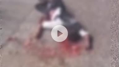 हमीरपुर: सुमेरपुर कस्बे में देवगांव रोड पर बारात में आए युवक को ट्रक ने रौंदा