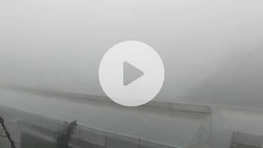 बिलासपुर सदर: कोहरे की चपेट में बिलासपुर, धुंध और कोहरे ने बढ़ाई ठंड