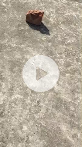 Kanpur video@#j k gicgicjocful. byzf