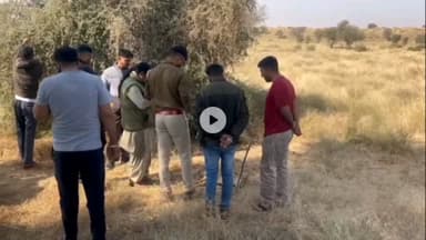 लूनकरनसर: कलकल मुकलेरा में मिला हिरण का शव, शिकार की आशंका, शव पर मिला गोली लगने जैसा निशान