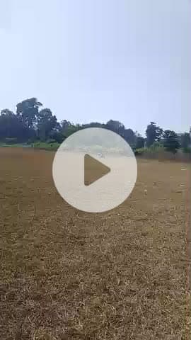 Md Arif manoharpur West Singhbhum