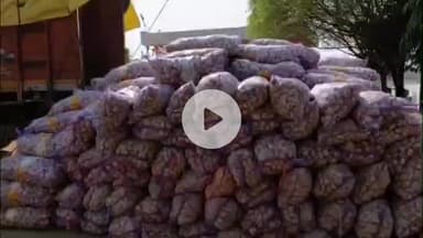 महाराजगंज: भैंसा पुल के पास पुलिस ने DCM में लदे 549 बोरी अवैध चाइनीज लहसुन किया बरामद