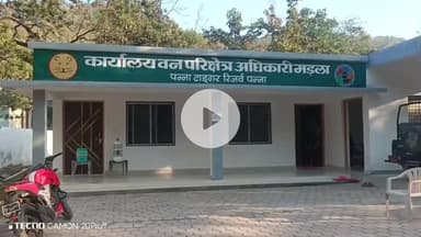 पन्ना: पन्ना टाइगर रिजर्व के रेंजर पर ग्रामीणों ने लगाया 'मनमानी' का आरोप, खोला मोर्चा!